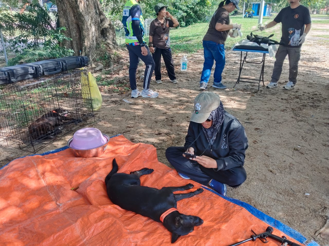 Operasi Penangkapan Anjing Liar 2.0