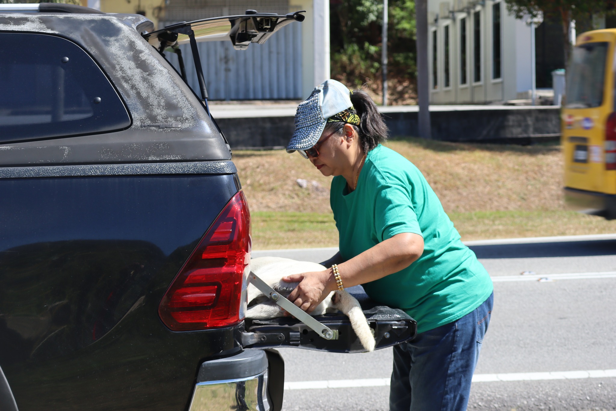 Operasi Penangkapan Anjing Liar 3.0 (2026)